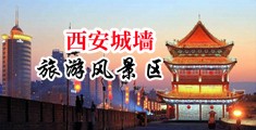 美女被鸡巴干的视频在线观看中国陕西-西安城墙旅游风景区